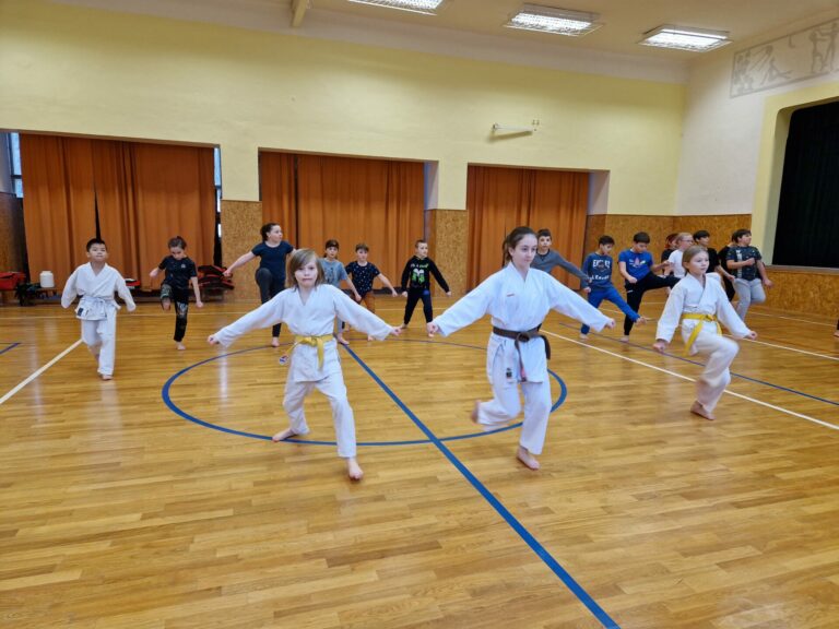 V Čisté u Horek proběhlo první soustředění karatistů z místní ZŠ a sportovního klubu Karate Do Dvůr Králové nad Labem