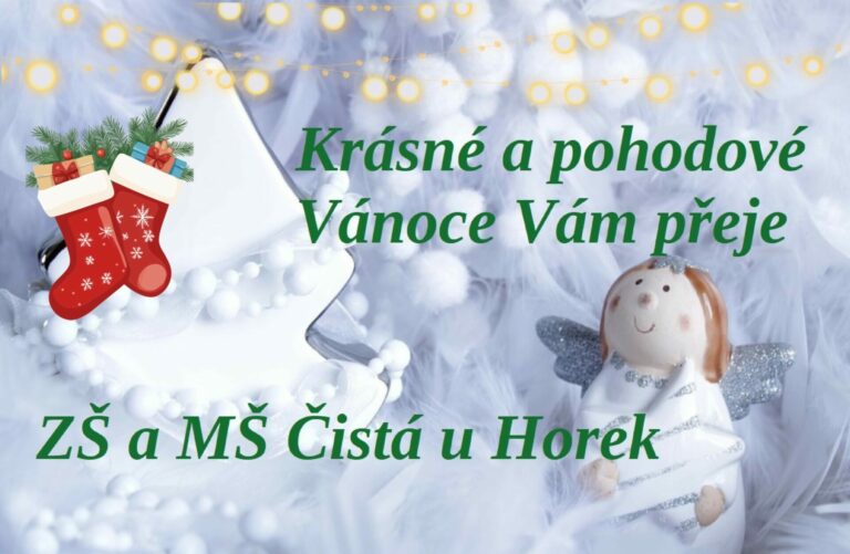 Přejeme Vám krásné Vánoce a úspěšné vykročení do nového roku ❄️