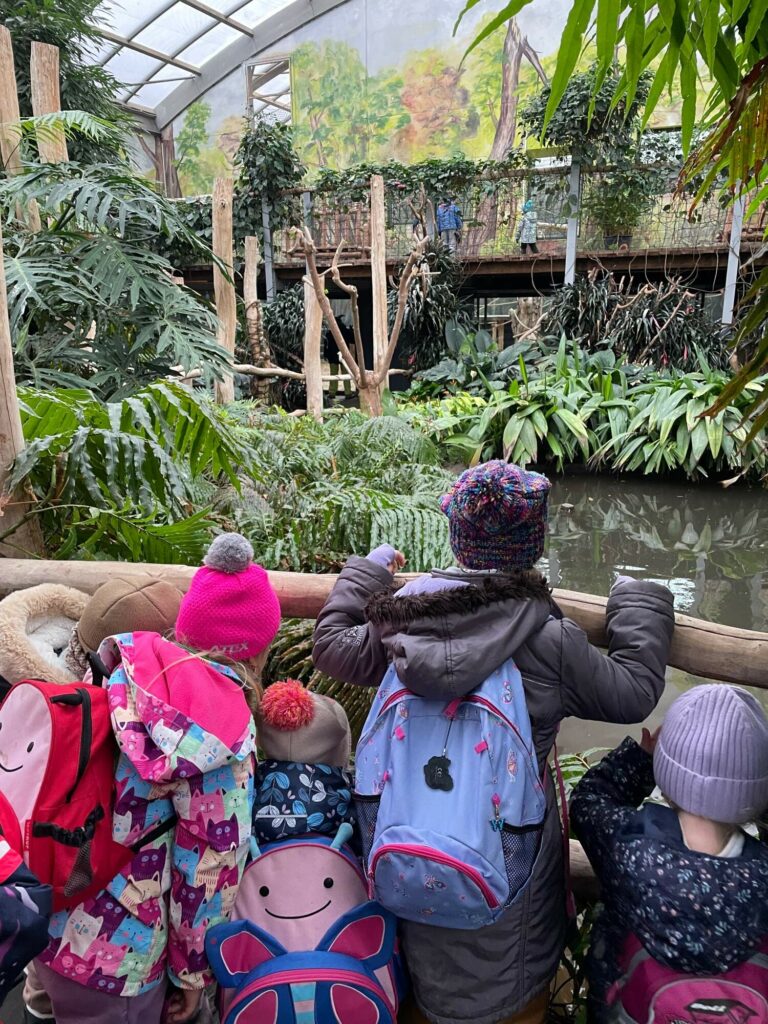 Galerie: školka na předvánočním výletě v ZOO