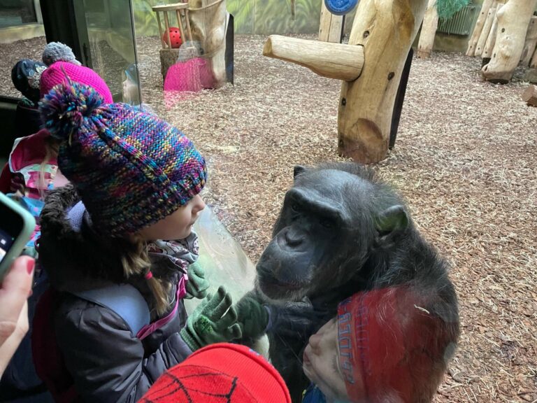 Školka na vánočním výletě v ZOO 🐒🐘🦁