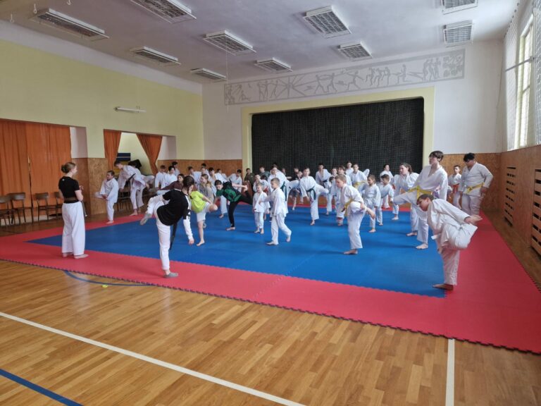 🥋 Karate kroužek pilně trénuje na krajské přebory